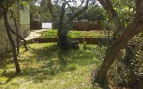 Knaffl Apartment